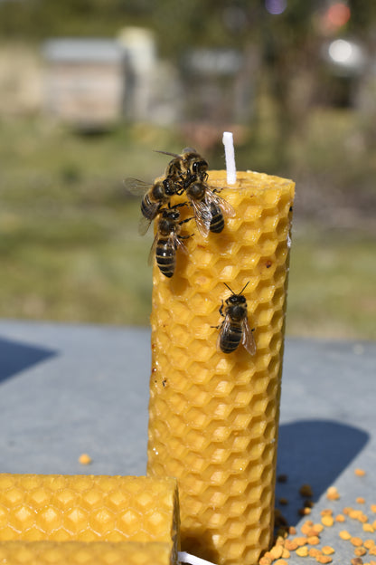 Velas de Cera de Abeja