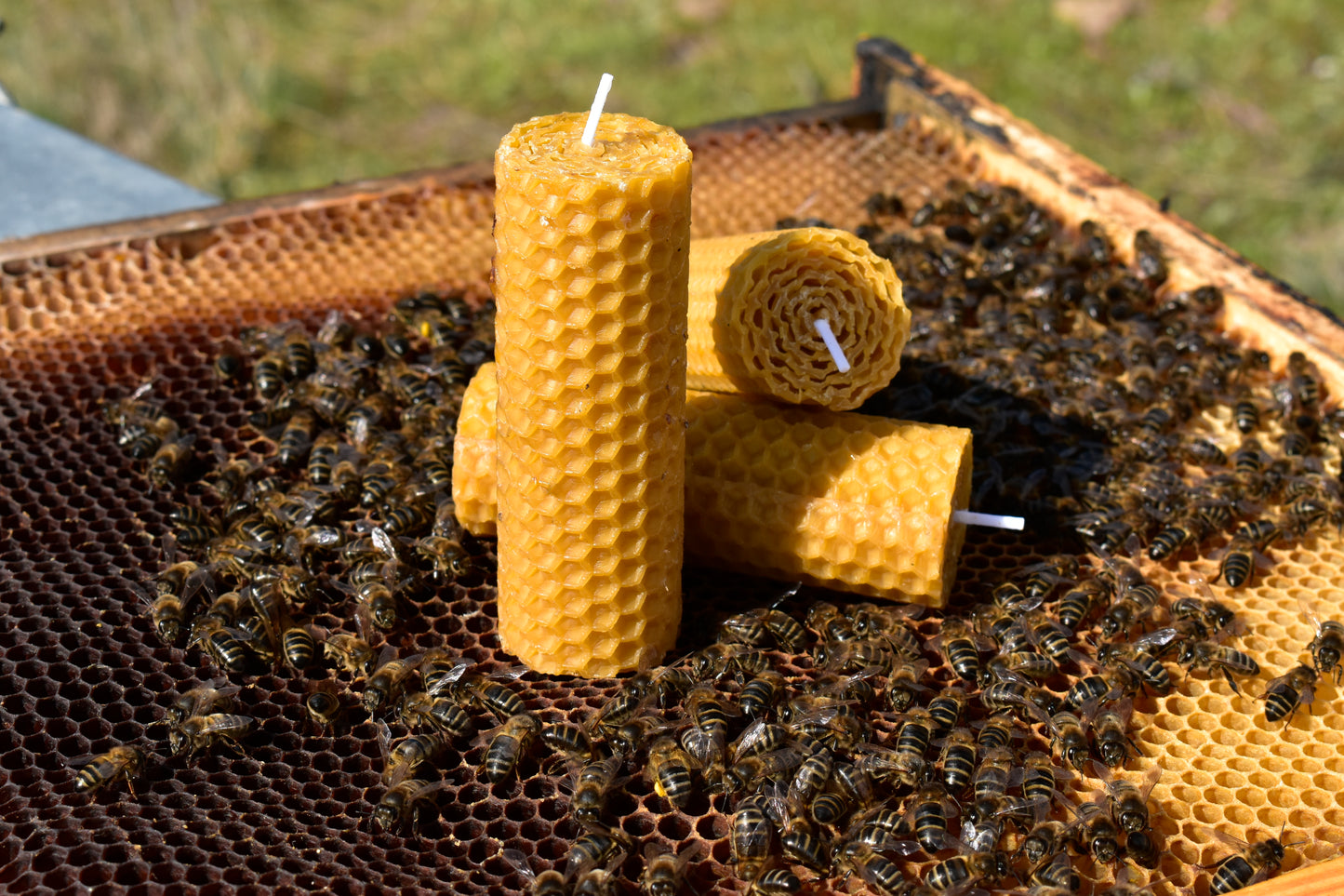 Velas de Cera de Abeja