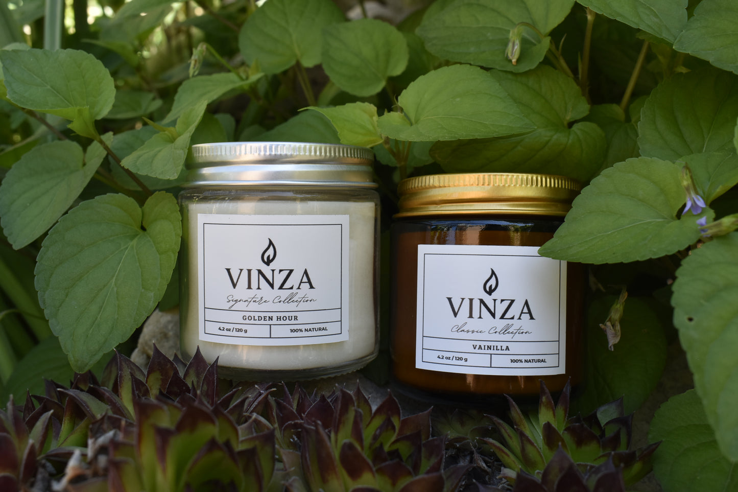 Pack Ritual VINZA